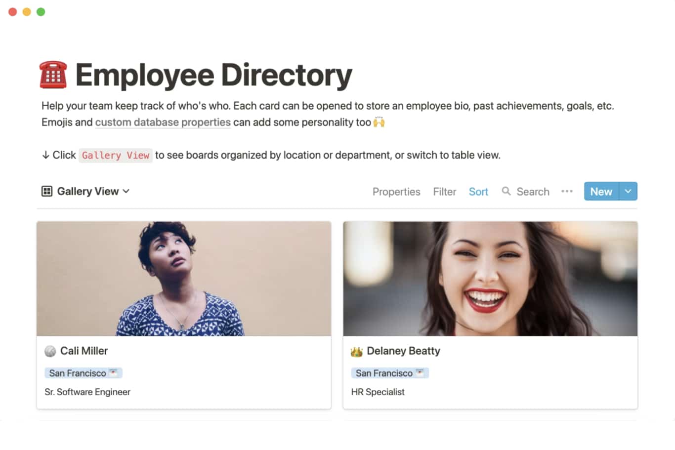 What is Notion used for