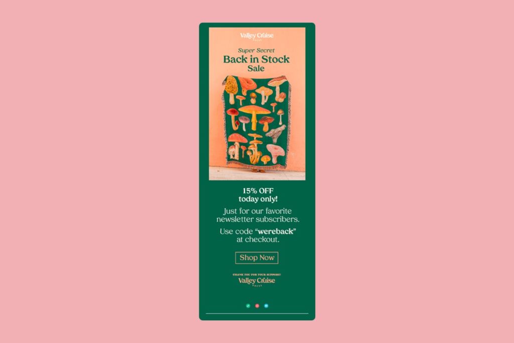 Valley Cruise secret code ecommerce email example