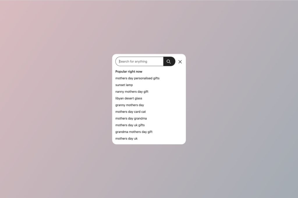 example of search results on ecommerce site