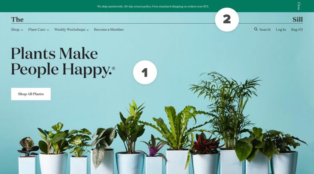 The Sill - Shopify Website for Plants