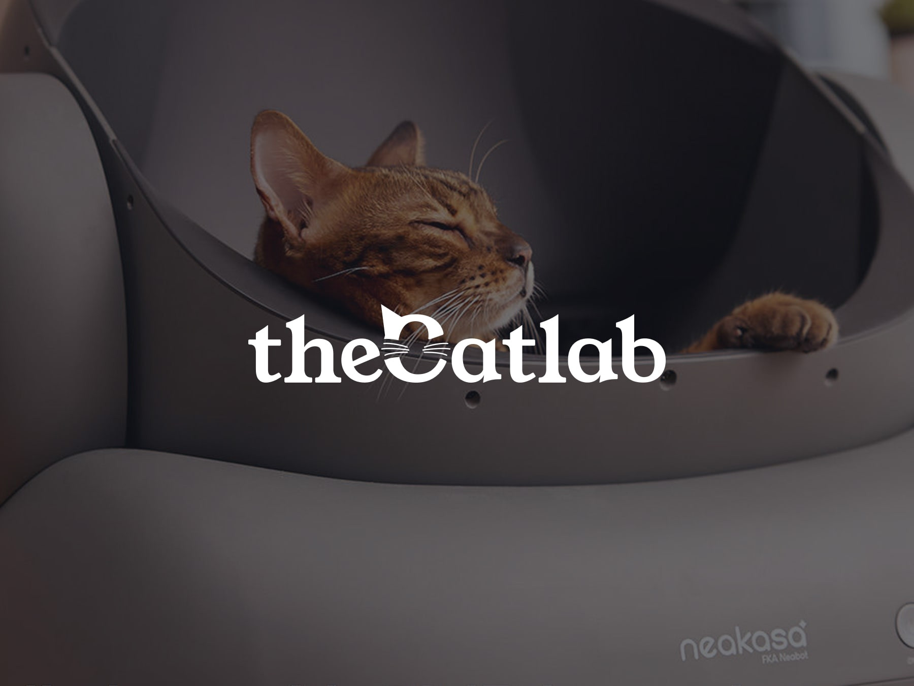 The Catlab Ecommerce Launch & Growth